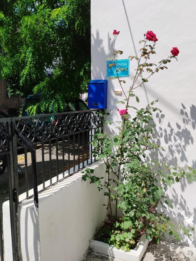 볼로스 Η Ελπίδα Και Η Γιάννα Ξεκίνησαν Ένα Χώρο Cute 아파트 외부 사진