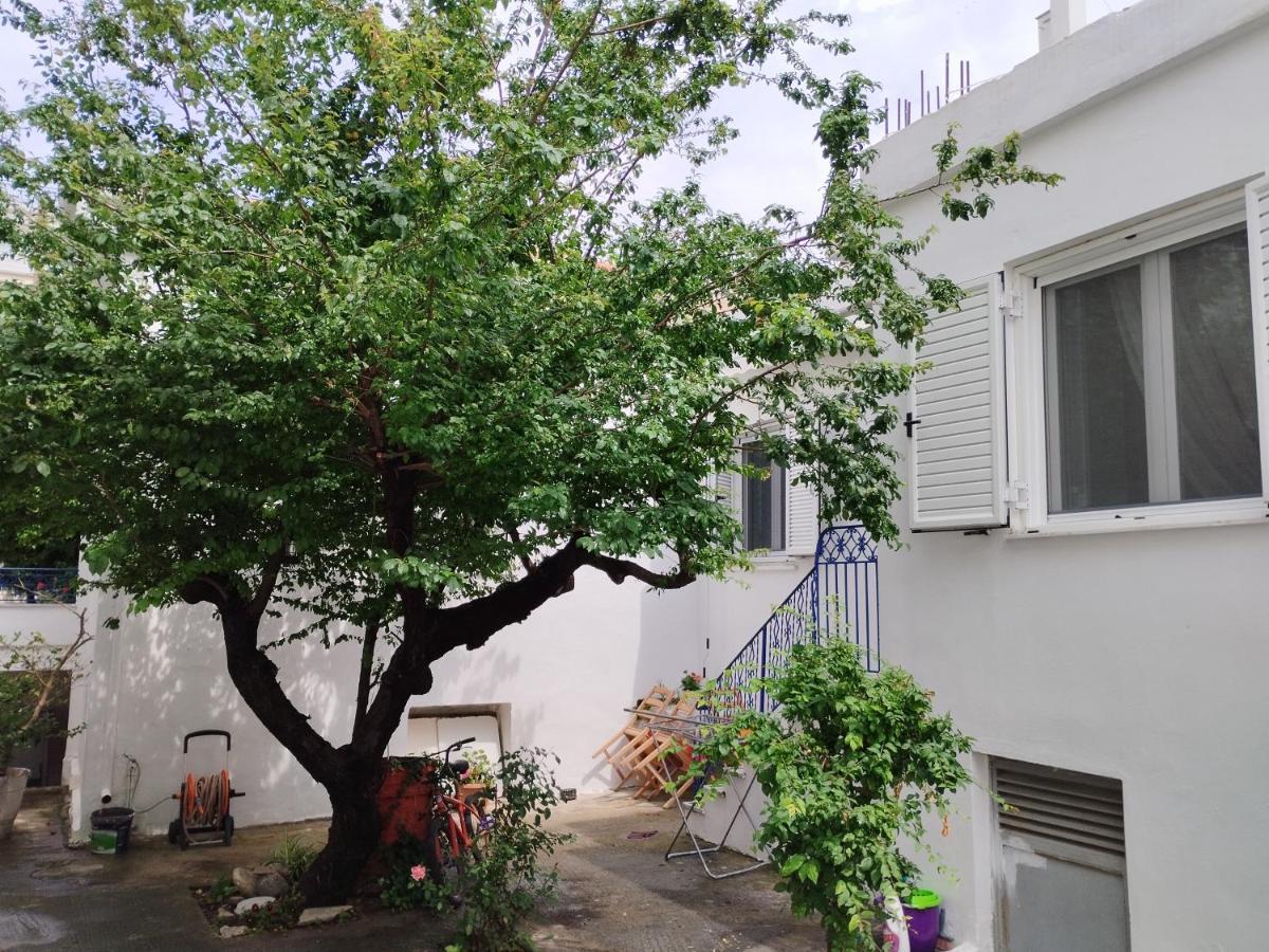 볼로스 Η Ελπίδα Και Η Γιάννα Ξεκίνησαν Ένα Χώρο Cute 아파트 외부 사진