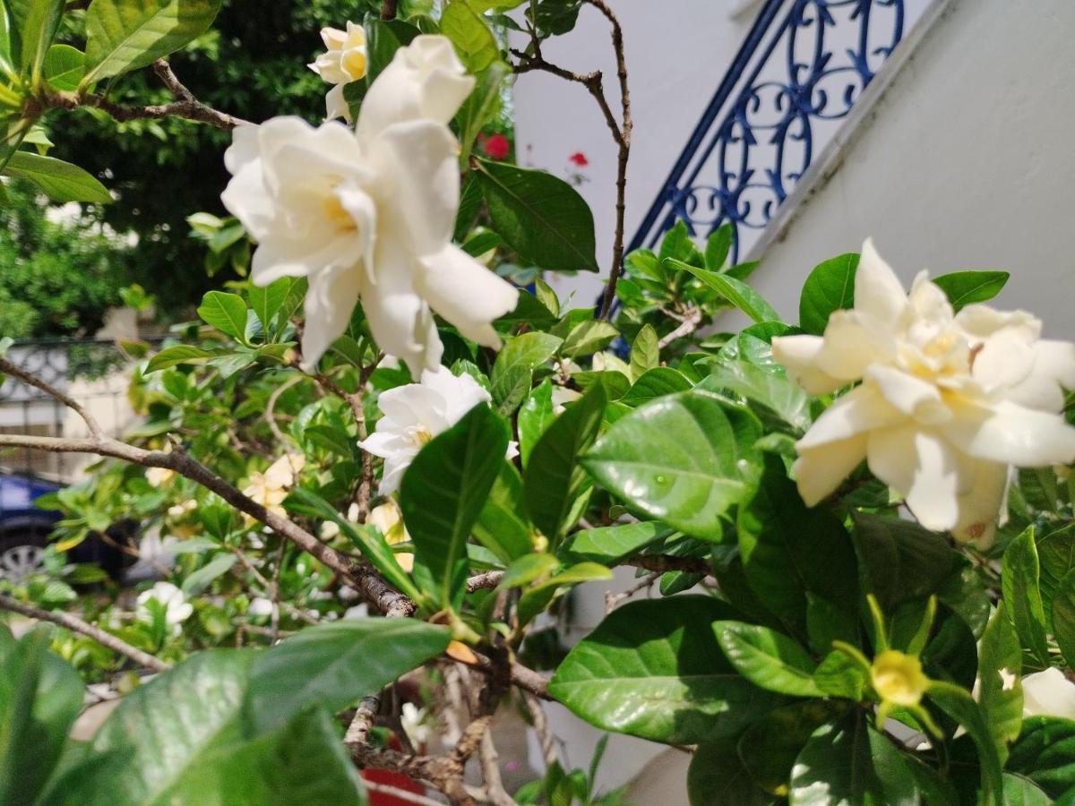 볼로스 Η Ελπίδα Και Η Γιάννα Ξεκίνησαν Ένα Χώρο Cute 아파트 외부 사진